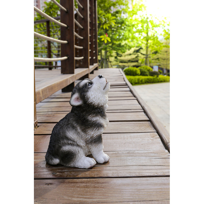 Alaskan Malamute Puppy Howling